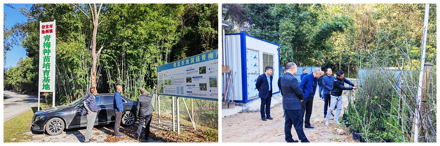 1725242340947010.jpg 配圖1.jpg