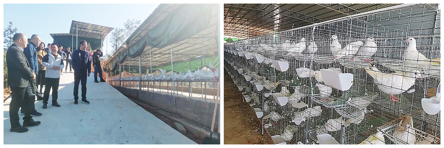 1725242376701621.jpg 配圖2.jpg